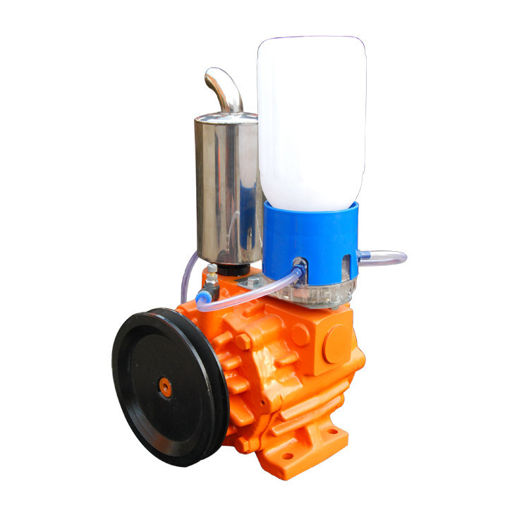 Double Stages Rotary Vane Type Vacuum Pump 220V 50Hz 1Phase High Vacuum