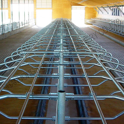 Galvanized Pipe Free Stall Barn