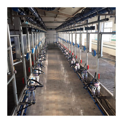 Electric goat Herringbone Milking Parlor with Automatic system