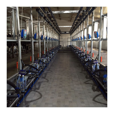 Electric goat Herringbone Milking Parlor with Automatic system