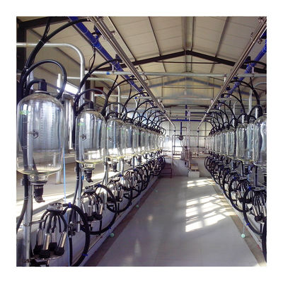 SS Herringbone Milking Parlor