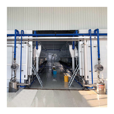 Automatic Parallel Cow  Herringbone Milking Parlor Quick Release