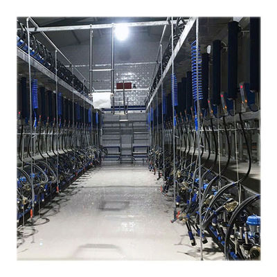 Automatic Parallel Cow  Herringbone Milking Parlor Quick Release