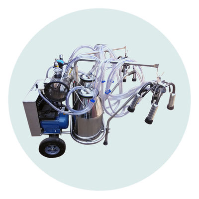 180V Dairy Cow Milking Machine Food Grade Stainless Steel