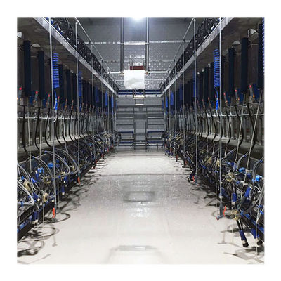 Pneumatically Drive Ratio 60/40 Small Scale Milking Parlour For Dairy Farm