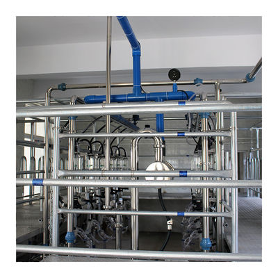 Automatic Vacuum 2100L Herringbone Milking Parlor with Sunction Function