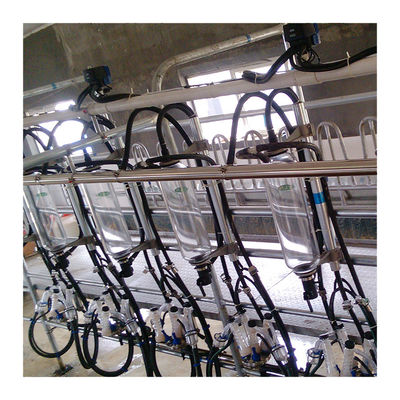 Automatic Vacuum 2100L Herringbone Milking Parlor with Sunction Function