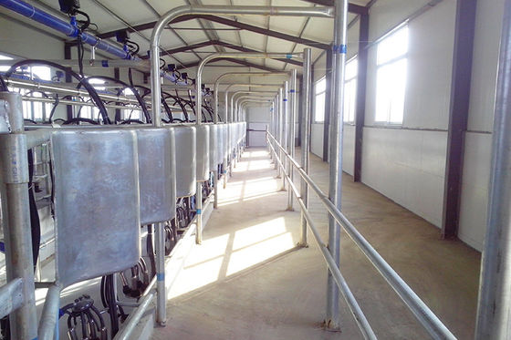 Parallel Quick Release Automatic Cow Milking Parlor Electric Milk Meter