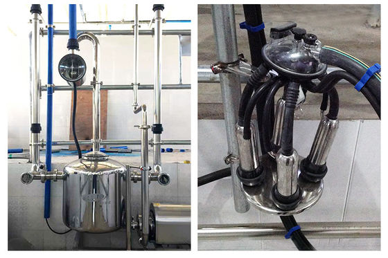 herringbone type 5T/h 20 Unit Milking Parlour Low Noise Automatic Milking Parlour