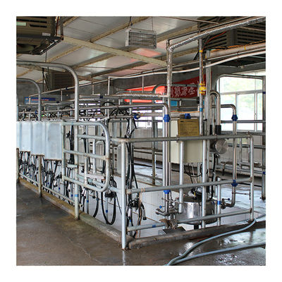 Big 110v 20 Stalls Herringbone Milk Parlor For Cow Milking