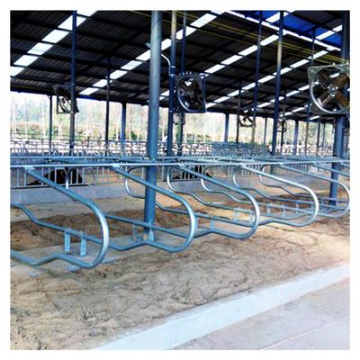 Customized Size Free Stall Barn