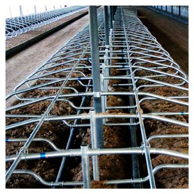 Animal Single Type Free Stall Barn Hot Dip Galvanized Pipe