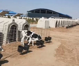 Galvanized Mesh Length 220cm Plastic Calf Shelters Easily Clean