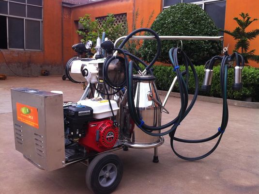 Portable Food Grade SS Mobile Milking Machine With Gasoline Engine