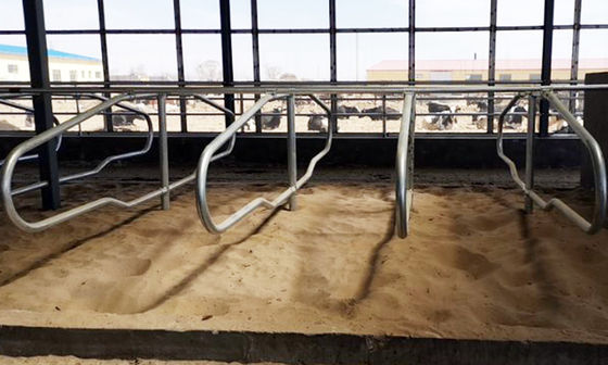 Anti Corrosion Free Stall Barn