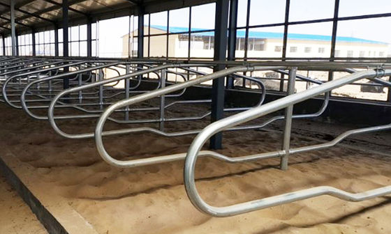 Anti Corrosion Free Stall Barn