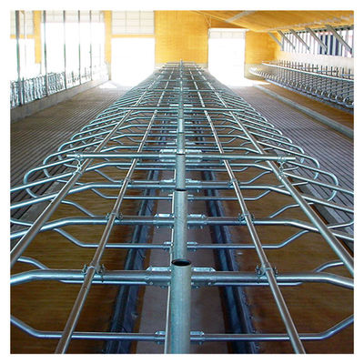 Hot Galvanized Free Stall Barn ISO9001 Free Stall Loops