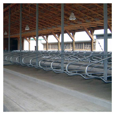 Hot Galvanized Free Stall Barn ISO9001 Free Stall Loops
