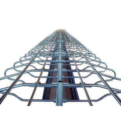 Stainless Steel Galvanized Pipe Free Stalls For Cows Single Row Style