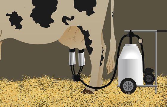 Diesel Engine Mobile Cow Portable Milking Machine Electric Goat Vacuum Pump