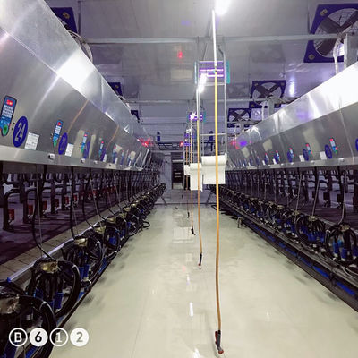 24-100 point Herringbone Milking Parlour Automatic Cow Machine System
