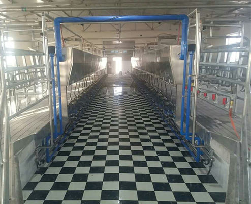 24-100 point Herringbone Milking Parlour Automatic Cow Machine System