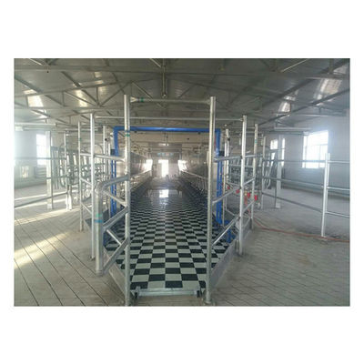 Plant Goat Cow Herringbone Milking Parlor Electronic Meter Equipment