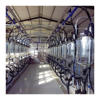 Dairy Farm Fishbone Automatic Herringbone Milking Parlour Low Noise