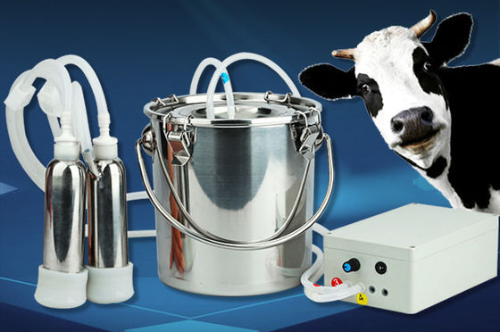 Portable Electric Stainless Steel Cow Milking Machine Reinforced Hemming For Longer Life