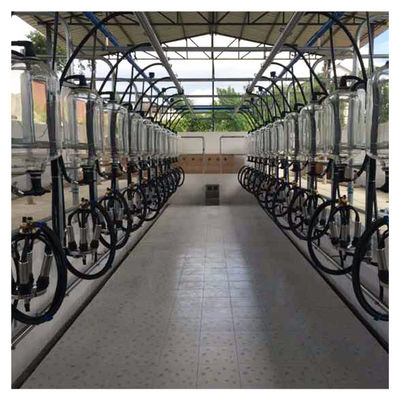 Dairy Farm Goat Cow Herringbone Milking Parlor Glass Bottle Metering System
