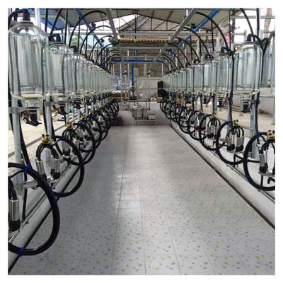 Dairy Farm Goat Cow Herringbone Milking Parlor Glass Bottle Metering System