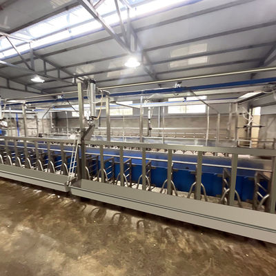 Sheep Parallel Fast Mode Milking Parlor Equipment Easy To Operate