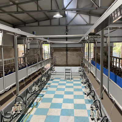 Digital Electric Meter Sheep Goat Milking Parlour New Condition Equipment