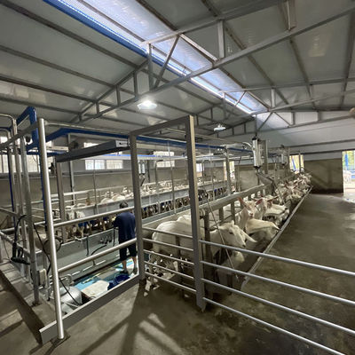 Digital Electric Meter Sheep Goat Milking Parlour New Condition Equipment