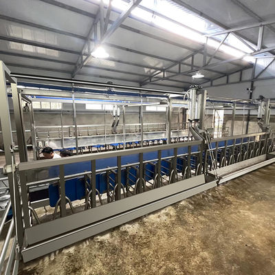 Digital Electric Meter Sheep Goat Milking Parlour New Condition Equipment
