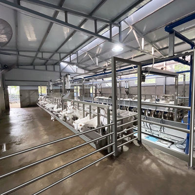 Digital Electric Meter Sheep Goat Milking Parlour New Condition Equipment
