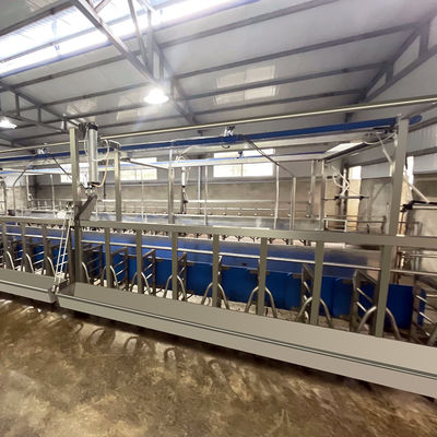 SUS304 Goat Herringbone Milking Parlor Feeding Trough Quick Exit Type Pipeline
