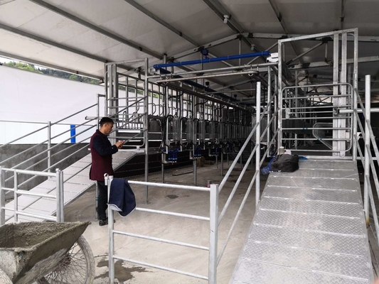 SS304 Goat Milking Parlor Milking Systems Dairy Goat Equipment