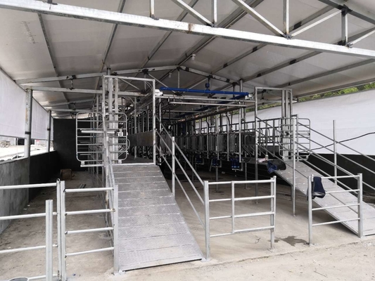 Customizable SUS304 Goat Herringbone Milking Parlor